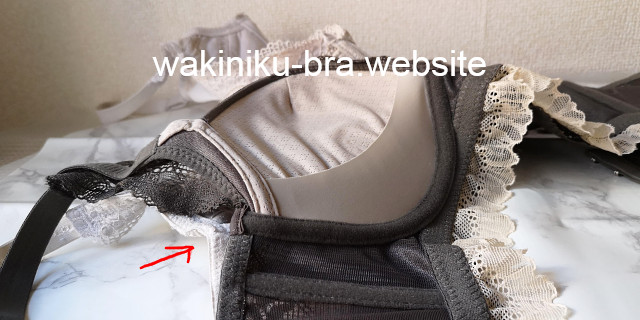 https://wakiniku-bra.website/?p=7244